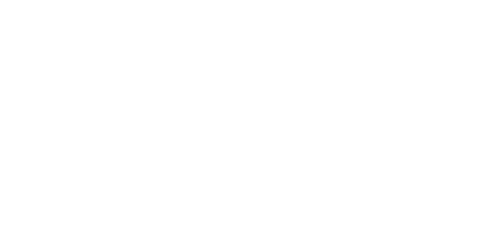 UCL Logo Brazil